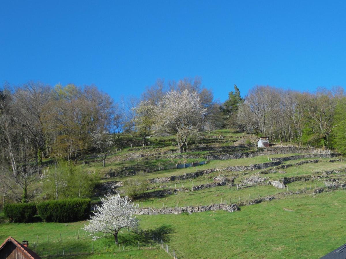 Gîte du Silberwald charmant gîte avec spa - jacuzzi , accès privatif Stosswihr Esterno foto