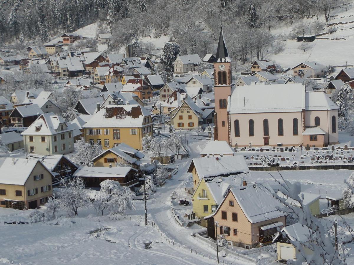 Gîte du Silberwald charmant gîte avec spa - jacuzzi , accès privatif Stosswihr Esterno foto